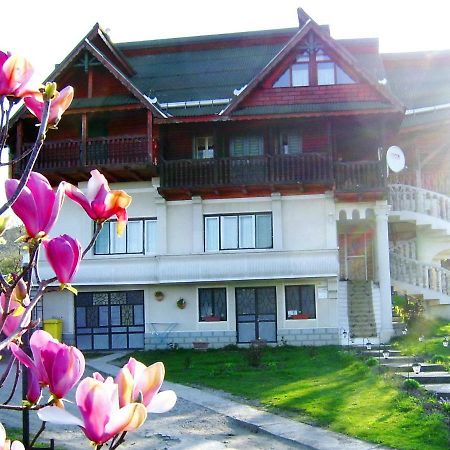 Pensiunea Amethyst Surdesti  Ngoại thất bức ảnh